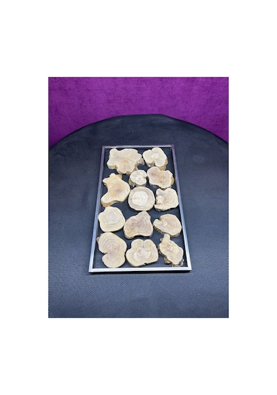 Zeytin Ağacı Parçalı Metal Çerçeve 30x50 Cm Epoksi Reçine İçin Doğal Ahşap Dilim Seti
