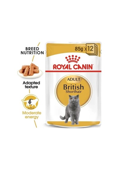 Royal Canin British Shorthair Konserve 85 Gr X 12 Adet