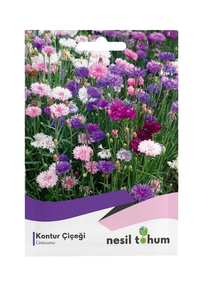 Kontur Çiçeği Tohumu 50'li