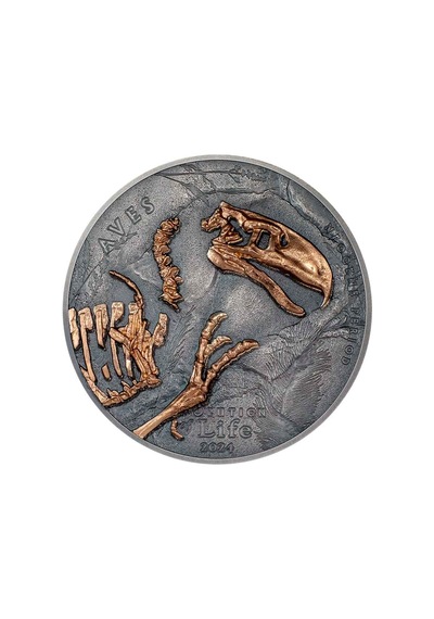 Agakulche Nimravidae Evrimi 2024 1 Ons Gümüş Sikke Coin