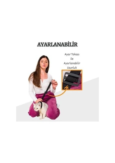 Ayarlanabilir Oto Emniyet Kemeri Tasması Araç Evcil Hayvan Tasması Güvenli Klips Her Irk Boya Uyumlu Çok Renkli