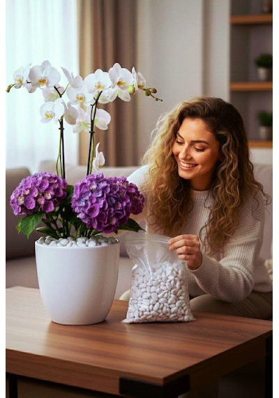 5 Kg Doğal Beyaz Dolomit Taşı 2-4 Cm Saksı Üstü Dekoratif Taş, Sukulent & Kaktüs Taşı