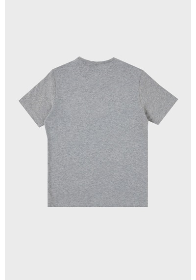 Dsquared2 Çocuk T Shirt Dq0244-d00yv Grey Gri