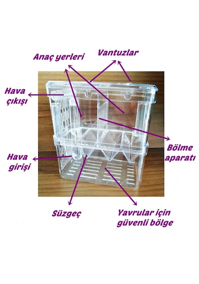 Çok Fonksiyonlu Çift Bölmeli Akvaryum Balık Yavruluğu Akvaryum Yavruluk 13.5 x 7.5 x 14 CM