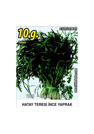 Tere Tohumu İnce Tel 10 G