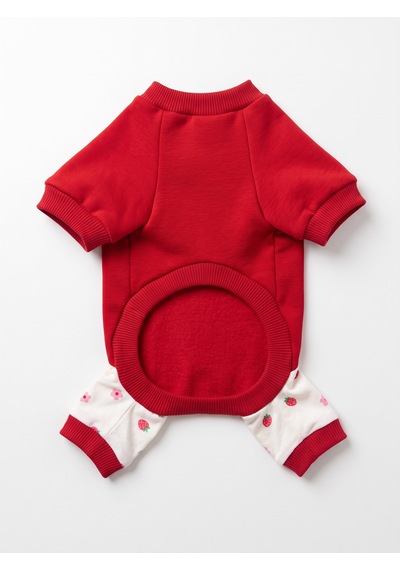 Tatlı Çilek Duo Çilekli Kedi Tulum & Sweat Kombini