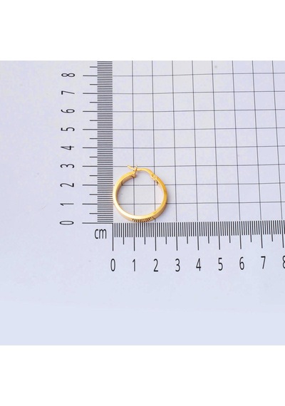 Bilezikci 22 Ayar Kartiyer Altın 2,5 Cm. Çaplı Halka Küpe