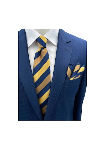 Brianze Sarı Gold Lacivert Çizgili Kravat Mendil Set 83742476