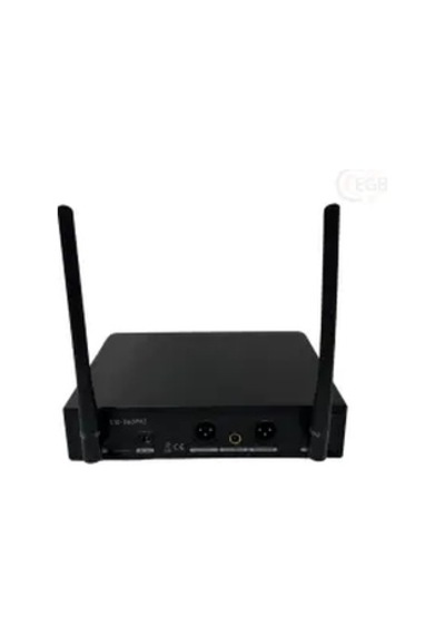 Rose Rw-211-ee 2el 2 X 100 Kanal