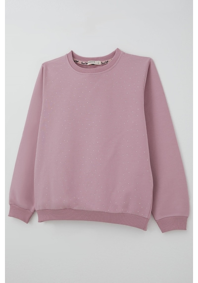 Breeze Kız Çocuk Sweatshirt Taş Aksesuarlı 9-14 Yaş , Gülkurusu