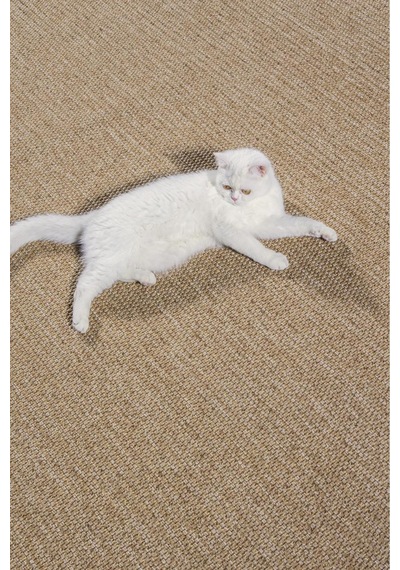 Kaymaz Taban Yıkanabilir Bej Halı Jüt Kilim Yıkanabilir Örme Bej Sisal Kilim Bej Bej