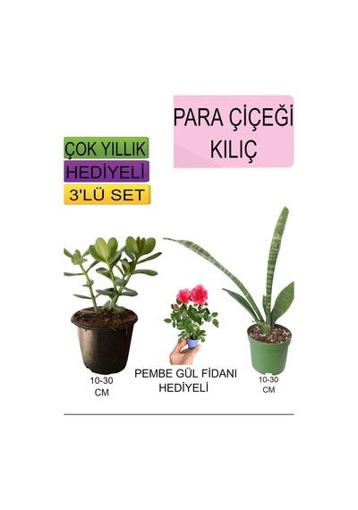 3'lü Set Para Çiçeği+ Kılıç Çiçeği+hediyelik Pembe Gül