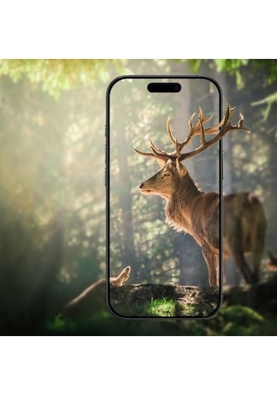 Vivo X300 Pro İle Uyumlu Cl-07 Kamera Lens Koruyucu Siyah Sku: Zeusb0hjhk6zd6