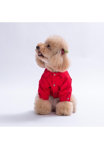 Kırmızı Cancun - Cancún Ceket Gabardin Çıtçıtlı Kedi Köpek Ceketi Kedi Köpek Kıyafeti Kedi Köpek Elbisesi
