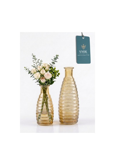 Chacha Home Luxury Elara 2 'li Minimalist İthal Dekor Cam Vazo Bal