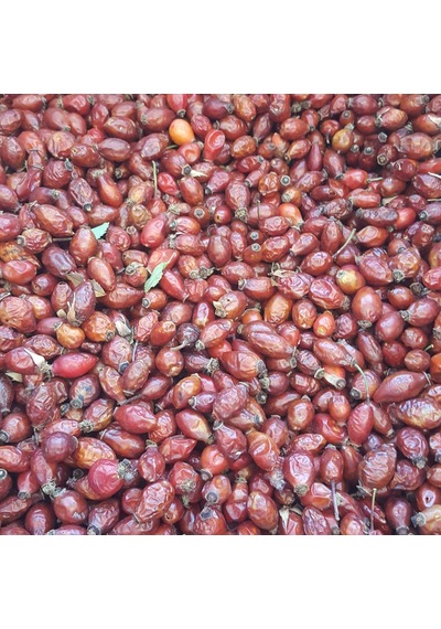Kayısıcenter Toptan Kuşburnu Kurusu 10 KG