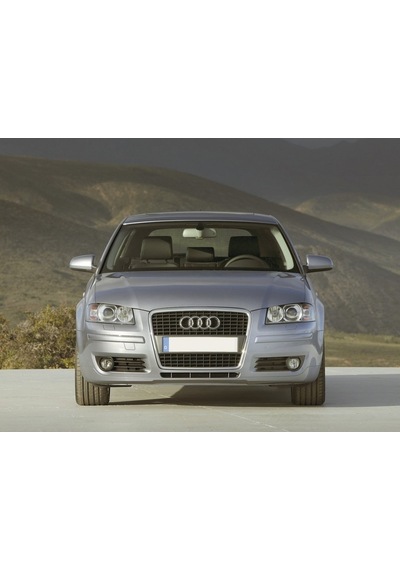 Audi A3 2004-2008 Kol Dayama Kolçak Mandalı Düğmesi Bej 8P0864245