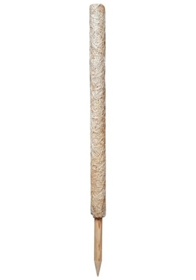 Abaka Sarmaşık Destek Çubuğu 80 Cm