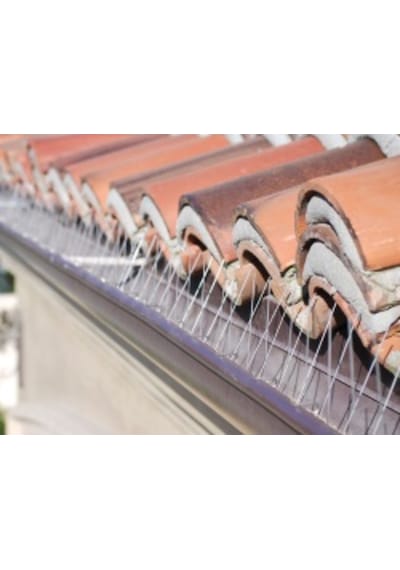 Kuş Kondurmaz 25 Metre Plastik Diken Koli De Kovucu Kaçırıcı Tel