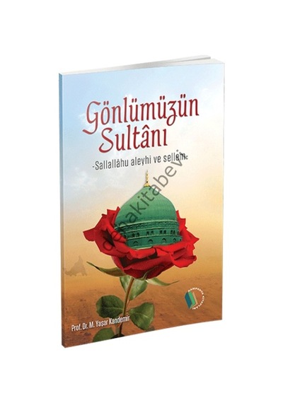 Gönüller Sultanı Efendimiz Erkam Yayınları