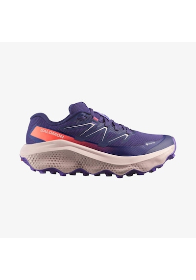 Salomon Ultra Flow 2 Gtx Kadın Ayakkabısı L4788430 Çok Renkli