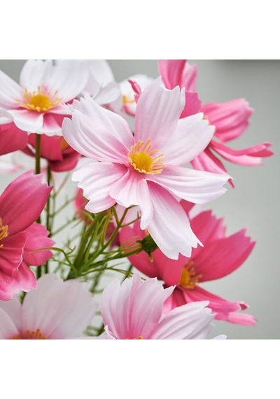 Ikea Smycka Yapay Buket, Pembe, 50 Cm, İç/dış Mekan Cosmos