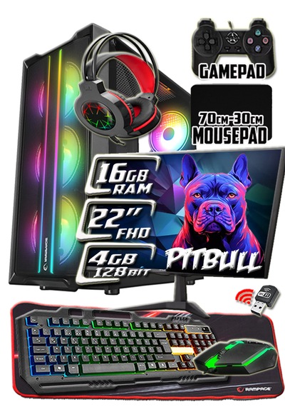 Warbox Pitbull Xeon X5650 16 GB 256 GB SSD 4 GB R7-240 22" W10P Masaüstü Oyuncu Bilgisayarı
