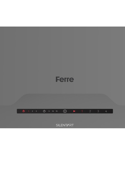 Ferre SS208+D065-SA 2'li Ankastre Set Gri