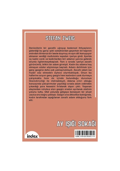 Ay Işığı Sokağı Yeni Çeviri / Stefan Zweig