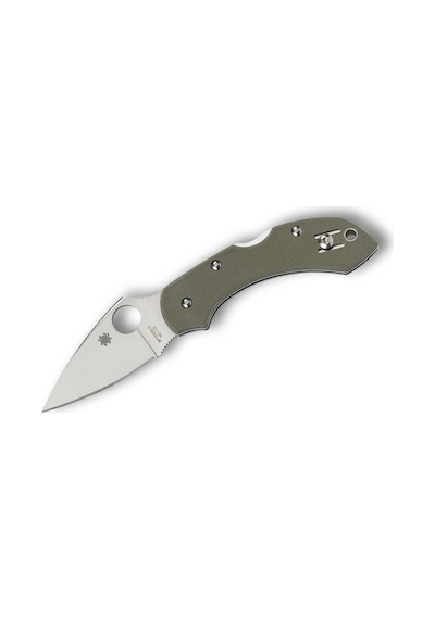 Spyderco Dragonfly Foliage Green G-10 Plainedge Kamp Çakı Yeşil