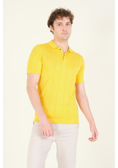 Giyim Dünyası Erkek Çizgili Polo Yaka Merserize T-shirt Sarı 001