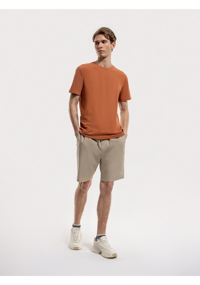 Regular Fit Erkek Tshirt K.kol Gınger