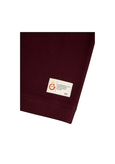 Gsstore X Reflect Studio Aslan Çocuk Hoodie C242400 Bordo