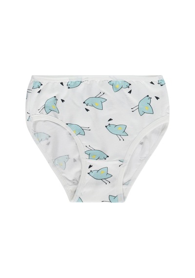 Civil Girls Kız Çocuk Cute Bird 2-12 Yaş 2'li Külot - Standart