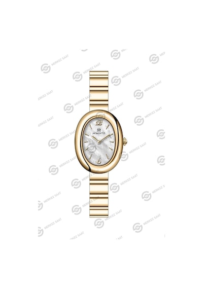 Momentus Women's Classy Cw326g-09sg Çok Renkli
