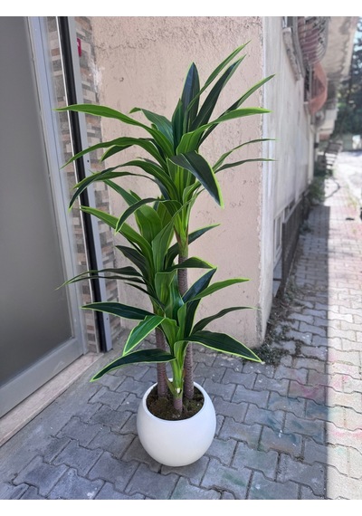 Cihan Çiçekçilik Yuka 170 Cm Küre Saksıda Antrasit