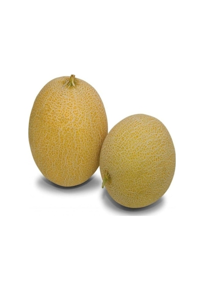 Tohumculuk Süper Paket 500 Adet Tohum Mis Kokulu Bal Ananas Kavun Tohumu