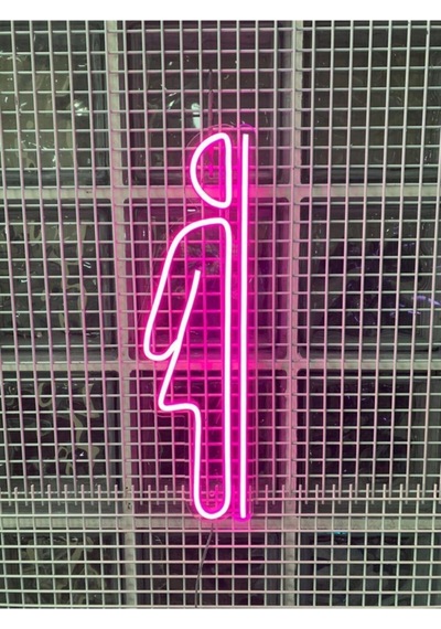 Wc Bay Bayan Neon Led Işık Renkli