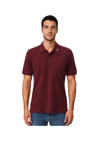 Arma Ar-ma Erkek Polo Yaka Tişört Baskisiz Basic Örme Kumaş Regular Fit %100 Pamuk 30/1 Çift Toplama Penye Pike Y31374358302 Bordo-b1 Arma Ar-ma Erkek Polo Yaka Tişört Baskisiz Basic Örme Kumaş Regular Fit %100 Pamuk 30/1 Çift Toplama Penye Pike Y31374358302 Bordo-b1