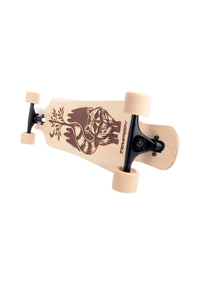 Tempish Coon Longboard Çok Renkli