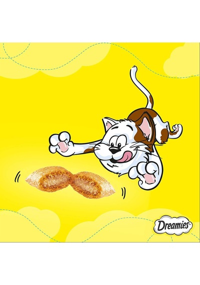 Somonlu Ve Peynirli Kedi Ödül Maması 60 G X 6 Adet 1 Kutu