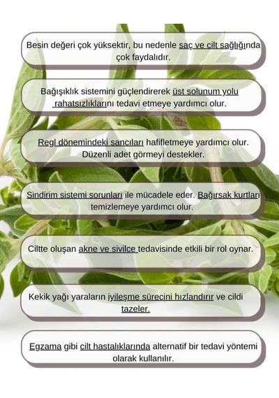 Lavendrose Kekik Yağı %100 Saf - Bitkisel Kekik Uçucu Yağı 10ml