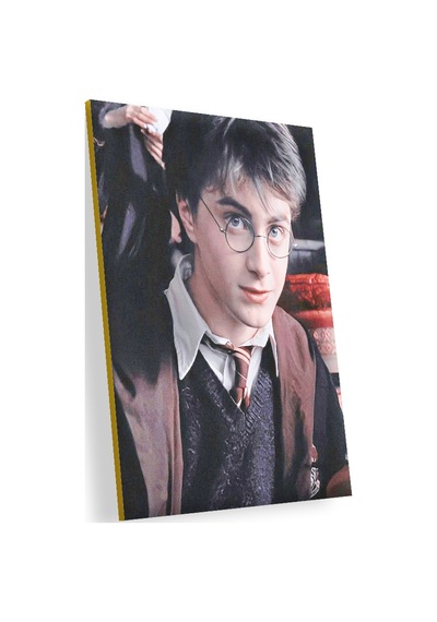 Cakasepetim Harry Potter Ahşap Mdf Tablo