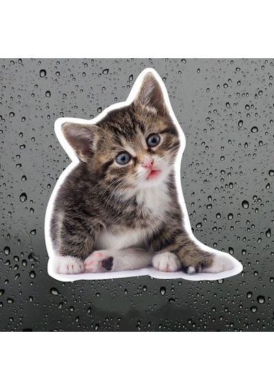Sevimli Yaramaz Kedi Araba Sticker Etiket 18Cm M2