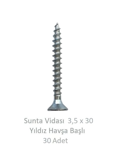 Adilon Sunta Vidası 3.5 x 030 30'Lu