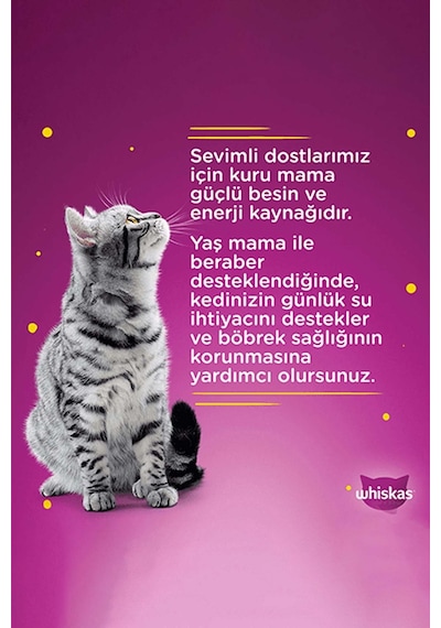 Whiskas Pure Delight Pouch Sığırlı Yetişkin Kedi Maması 85 G