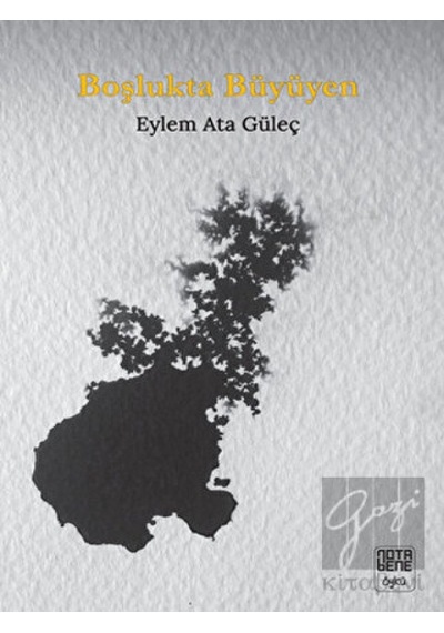 Boşlukta Büyüyen - Eylem Ata Güleç - Nota Bene Yayınları