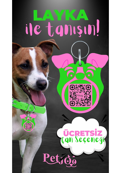 Petjoo 22.Layka Pembe-Yeşil Qr'lı Köpek Künyesi