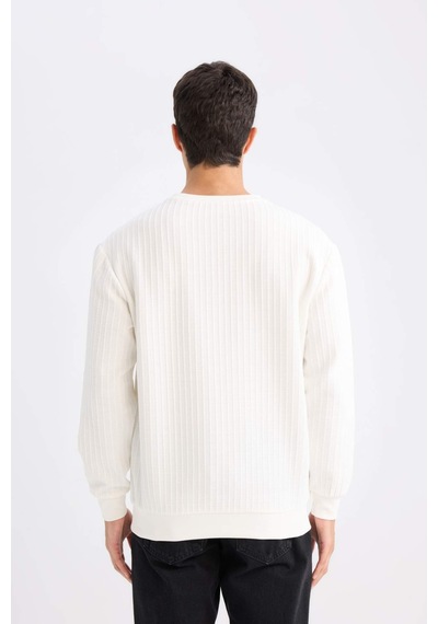DeFacto Regular Fit Bisiklet Yaka Jakarlı Sweatshirt D5391AX24AUWT32