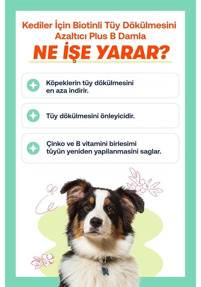 Tr Köpekler İçin Plus B Damla 50ml Ve Tüy Dökülmesini Engelleyici Biotinli Tüy Sağlığı Damlası